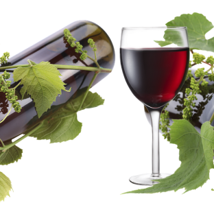 Bur�iak -  jedine�n� sez�nna �pecialita pre milovn�kov v�n