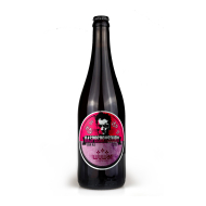 Pivo WYWAR Raspberry Sour 11 0,75l